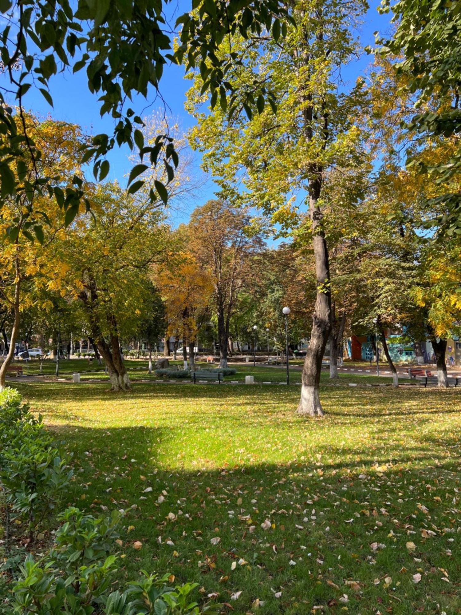 Green Park Apartments And Rooms For Guests Asenovgrad Exteriör bild